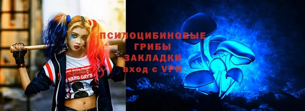 меф Осинники