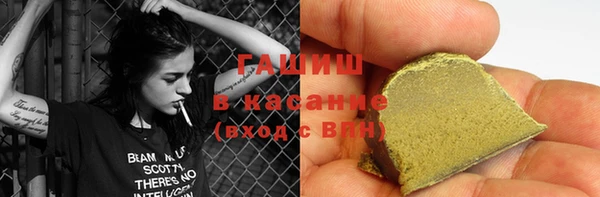 индика Нягань