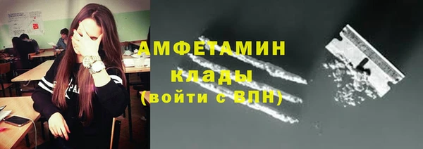 индика Нягань