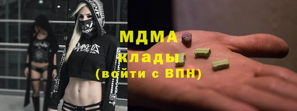 индика Нягань
