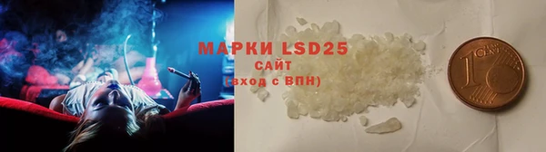 индика Нягань