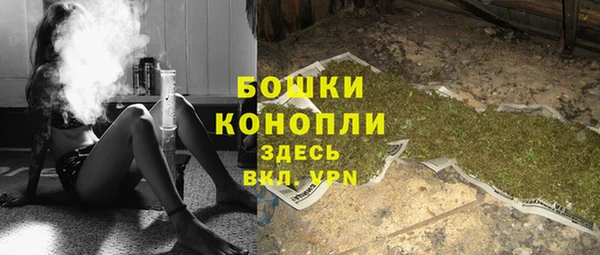 индика Нягань