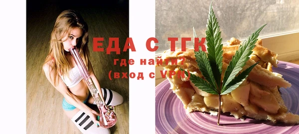 индика Нягань