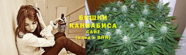 индика Нягань