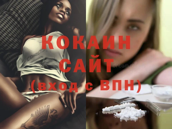 индика Нягань